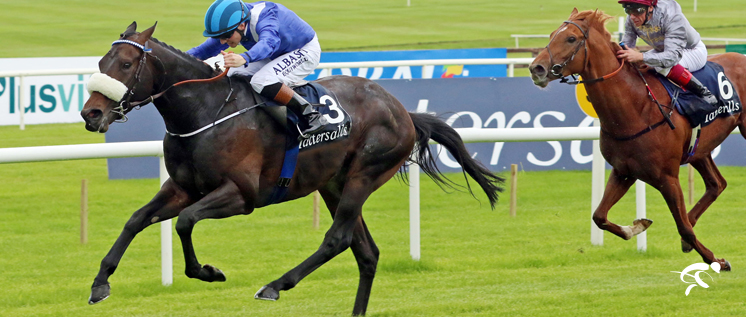 Derrinstown_Web_2017_HOMEPAGE_copy