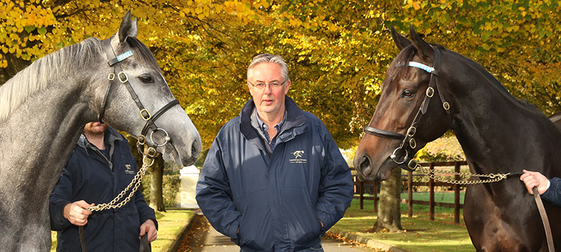 2 November 2016; Stephrn Collins with Awtaad, right, and Markaz at Derrinstown Stud. © Peter Mooney, 6, Cumberland Street, Dun Laoghaire, Co. Dublin, Ireland. Tel: 00 353 (0)86 2589298